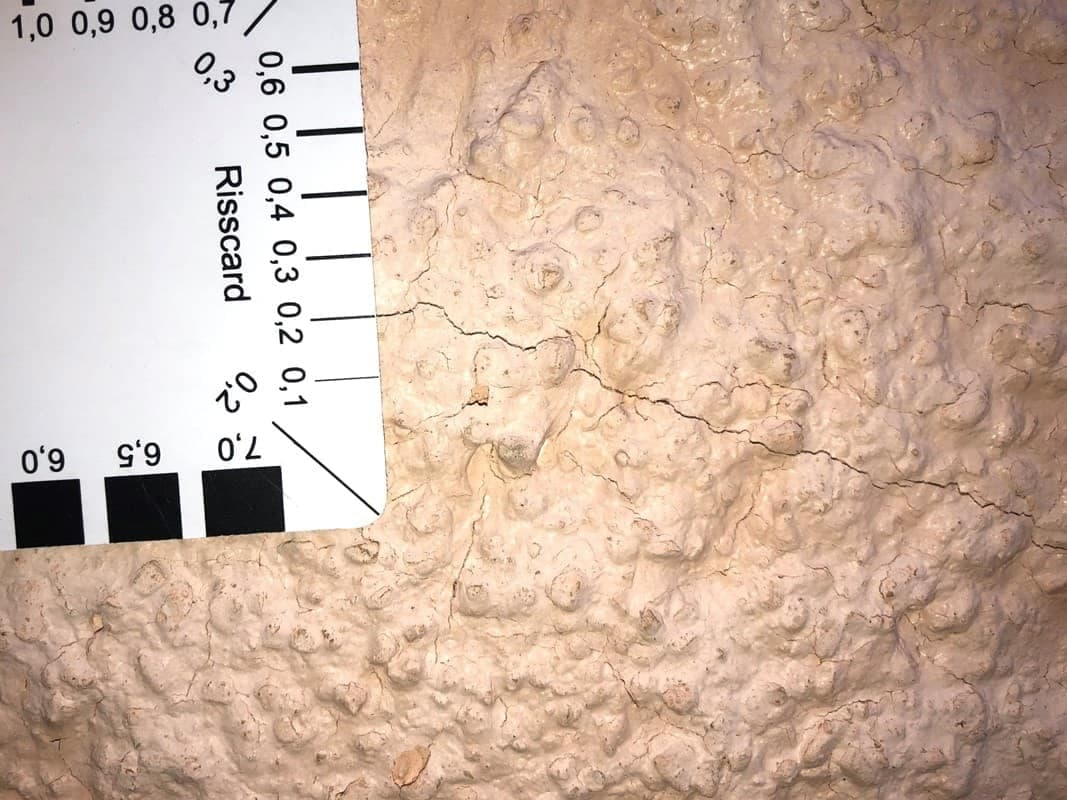 Ein 0,2mm starker Riss im Außenputz mit einer Risskarte als Vergleichsmaßstab gemessen.