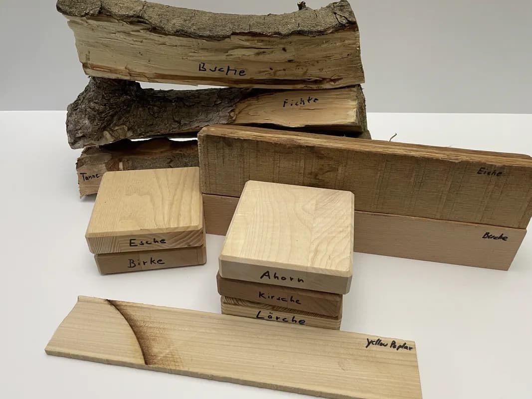Die 11 Holzsorten, die in diesem Test geprüft wurden.
