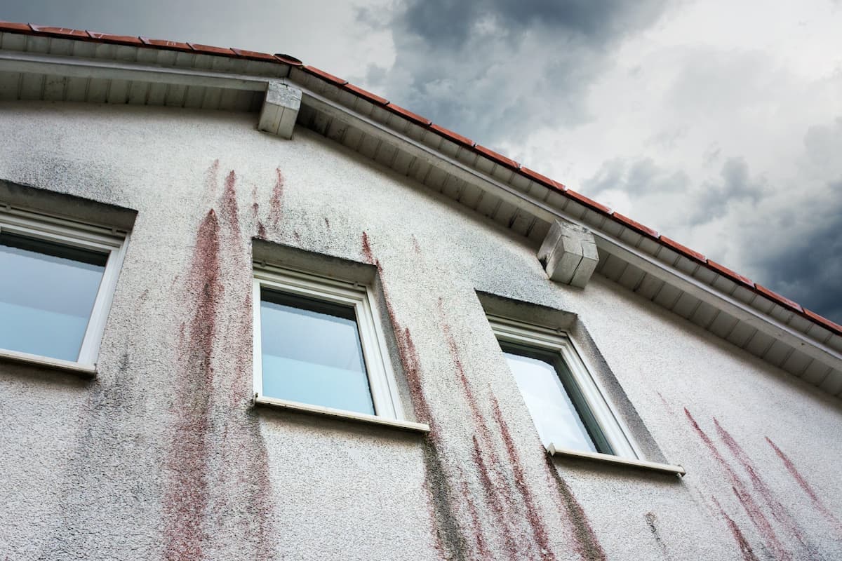 Algen Bakterien und Pilze an der Fassade