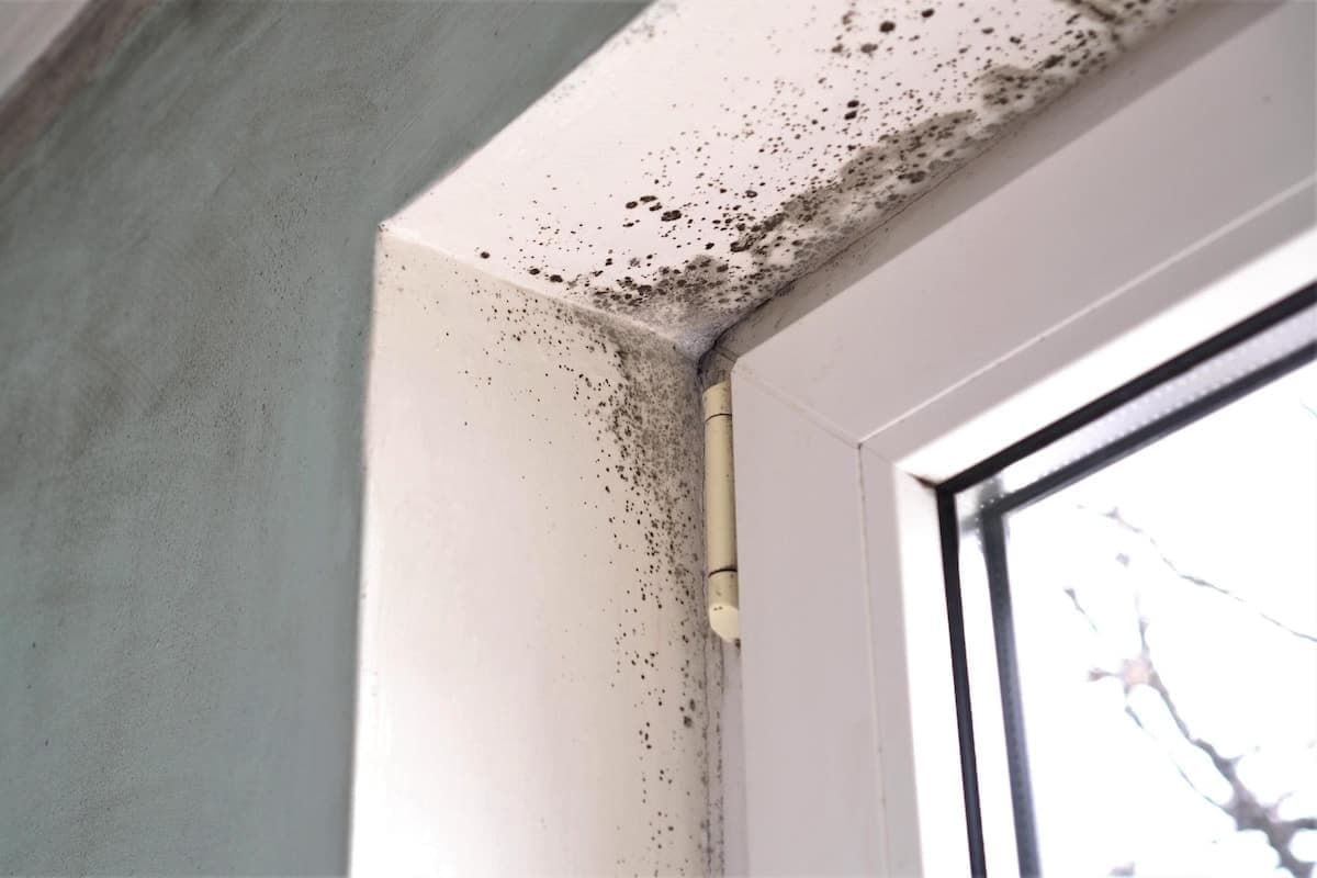 Schimmel an der Fensterlaibung aufgrund einer Wärmebrücke